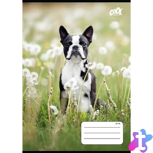 Füzet, tűzött, A5, kockás, 32 lap, COOL BY VICTORIA "B&W dogs", "27-32"