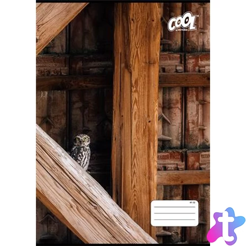 Füzet, tűzött, A4, vonalas, 32 lap, COOL BY VICTORIA "Texture", "81-32"