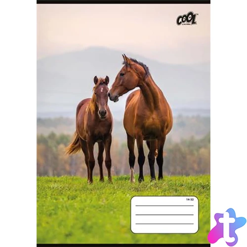 Füzet, tűzött, A5, vonalas, 32 lap, 1. osztály, COOL BY VICTORIA "Free Spirit", "14-32"