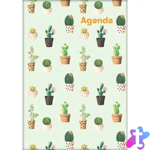 Naptár, tervező, A5, heti, DAYLINER, "Colors", Cactus