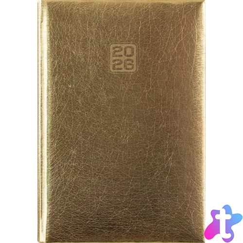 Naptár, tervező, B6, heti, DAYLINER, "Mirror", arany