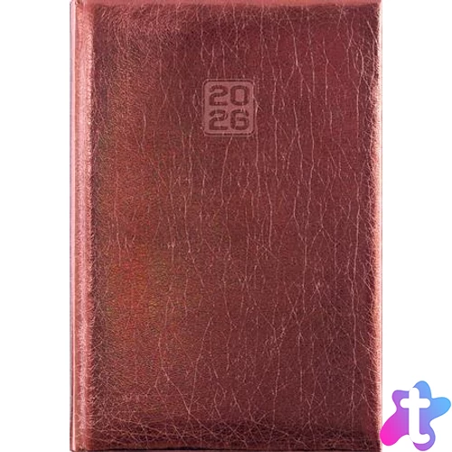 Naptár, tervező, A5, heti, DAYLINER, "Mirror", bronz