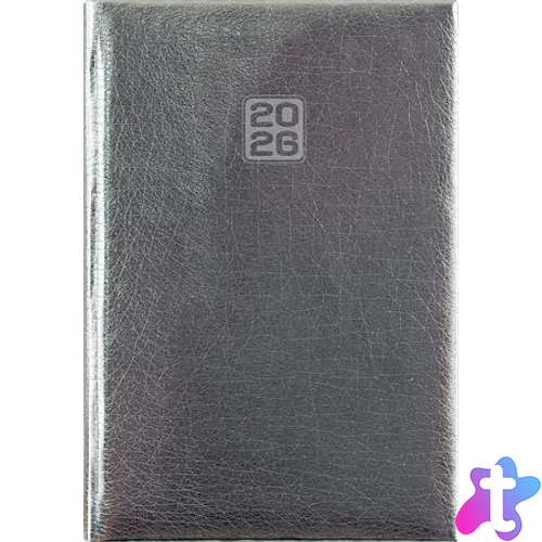 Naptár, tervező, A5, heti, DAYLINER, "Mirror", ezüst