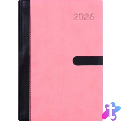 Naptár, tervező, A5, napi, DAYLINER, "Winner", pink