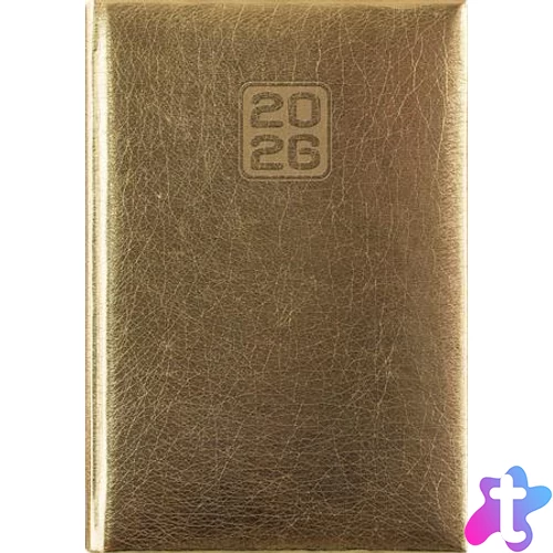 Naptár, tervező, A5, napi, DAYLINER, "Mirror", arany