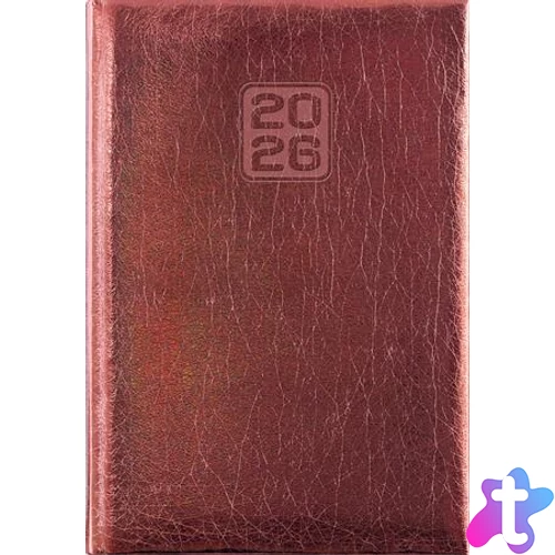 Naptár, tervező, A5, napi, DAYLINER, "Mirror", bronz