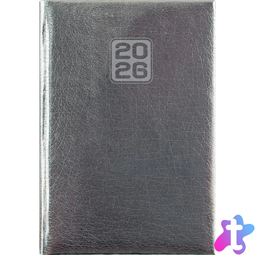 Naptár, tervező, A5, napi, DAYLINER, "Mirror", ezüst