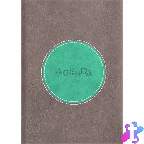 Naptár, tervező, A5, napi, DAYLINER "Central", szürke-türkiz