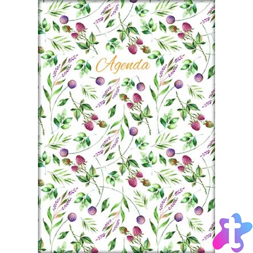 Naptár, tervező, A5, napi, DAYLINER, "Colors", Berries