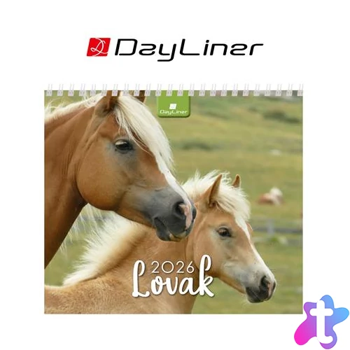 Naptár, asztali, álló, DAYLINER "Lovak"