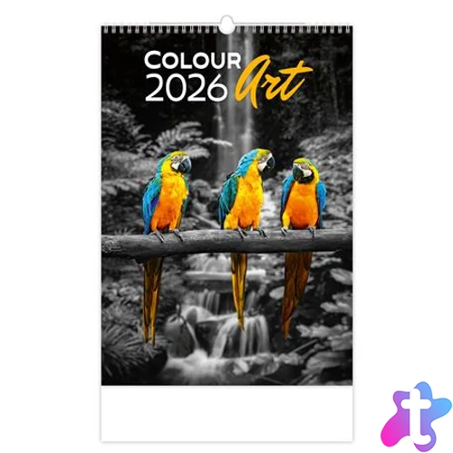 Naptár, fali, DAYLINER "Colour Art"