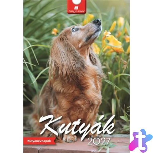 Naptár, fali, DAYLINER, "Kutyák"