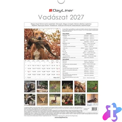 Naptár, fali, DAYLINER, "Vadászat"