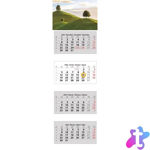 Naptár, speditőr, öt hónapos, egy tömbös, DAYLINER