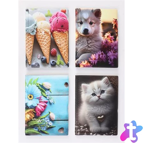 Igazolványtartó, álló, 10 betét lappal, mintás PVC, "Bővített személyi", lány