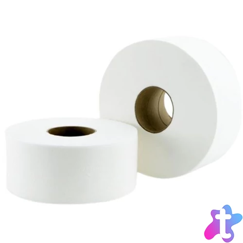 Toalettpapír, 2 rétegű, nagytekercses, 100 méter, 19 cm átmérő, hófehér