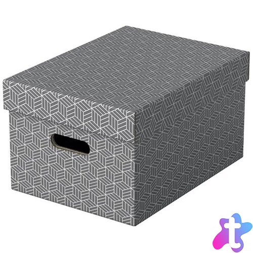 Tárolódoboz, M méret, ESSELTE "Home", szürke