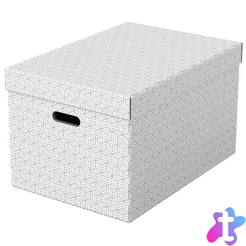 Tárolódoboz, L méret, ESSELTE "Home", fehér