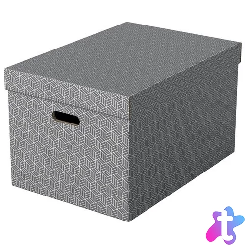 Tárolódoboz, L méret, ESSELTE "Home", szürke