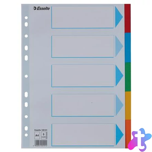 Regiszter, karton, A4, 5 részes, írható előlappal, ESSELTE "Standard", színes