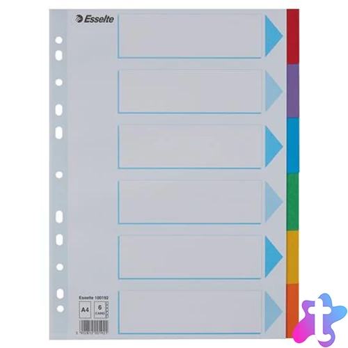 Regiszter, karton, A4, 6 részes, írható előlappal, ESSELTE "Standard", színes