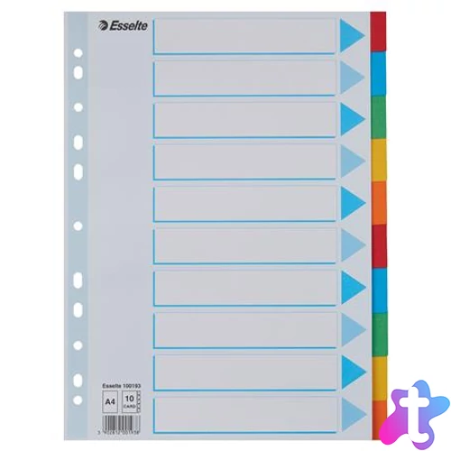 Regiszter, karton, A4, 10 részes, írható előlappal, ESSELTE "Standard", színes