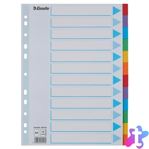 Regiszter, karton, A4, 12 részes, írható előlappal, ESSELTE "Standard", színes