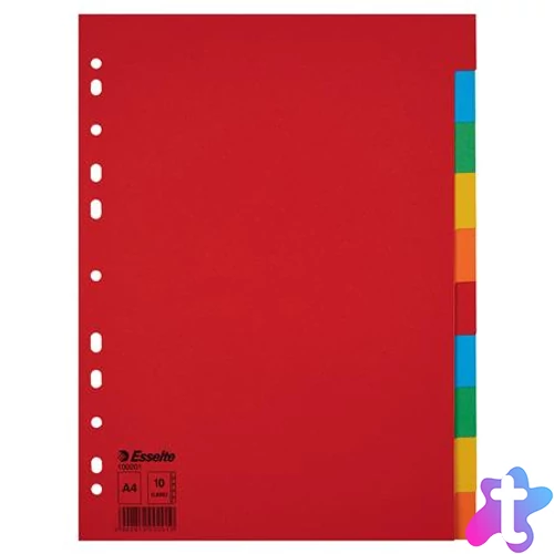 Regiszter, karton, A4, 10 részes, ESSELTE "Economy", színes