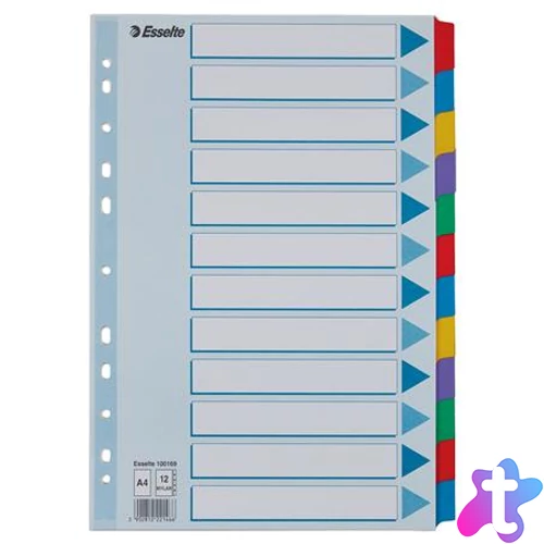 Regiszter, laminált karton, A4, 12 részes, ESSELTE "Mylar"