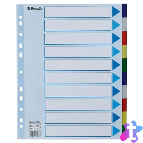 Regiszter, műanyag, A4 Maxi, 10 részes, ESSELTE