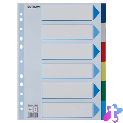 Regiszter, műanyag, A4, 6 részes, ESSELTE