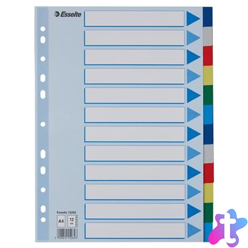 Regiszter, műanyag, A4, 12 részes, ESSELTE