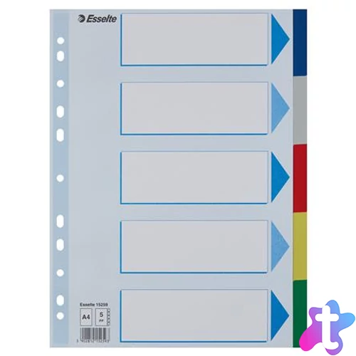 Regiszter, műanyag, A4, 5 részes, ESSELTE