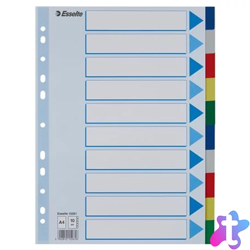 Regiszter, műanyag, A4, 10 részes, ESSELTE