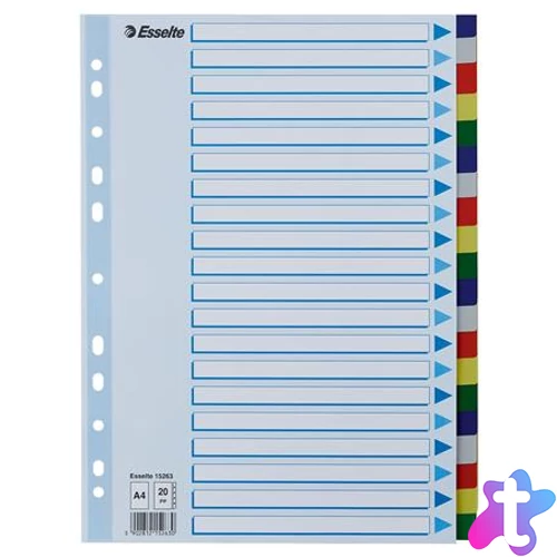 Regiszter, műanyag, A4, 20 részes, ESSELTE