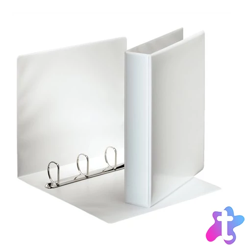 Gyűrűs könyv, panorámás, 4 gyűrű, D alakú, 65 mm, A4, PP, ESSELTE, fehér