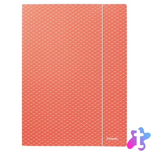 Gumis mappa, karton, A4, ESSELTE "Colour`Breeze", korall