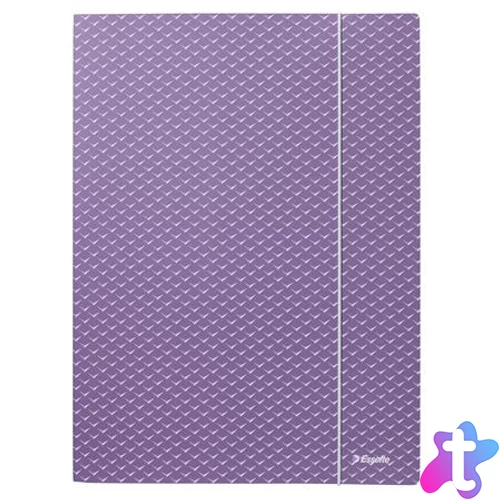 Gumis mappa, karton, A4, ESSELTE "Colour`Breeze", levendula