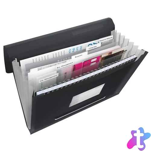 Harmonikamappa, A4, PP, 6 rekeszes, ESSELTE "Vivida", fekete