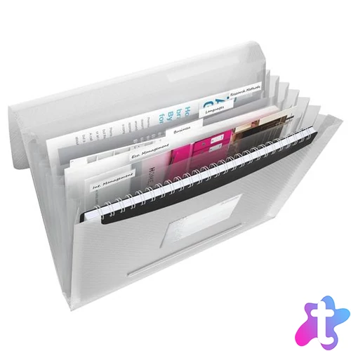Harmonikamappa, A4, PP, 6 rekeszes, ESSELTE "Vivida", fehér