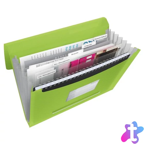 Harmonikamappa, A4, PP, 6 rekeszes, ESSELTE "Vivida", zöld
