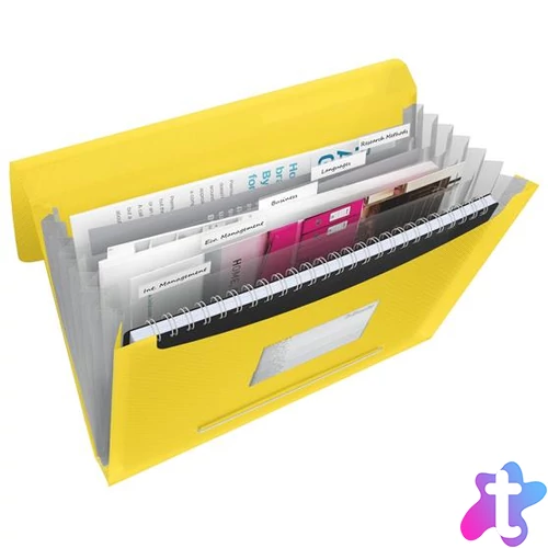 Harmonikamappa, A4, PP, 6 rekeszes, ESSELTE "Vivida", sárga