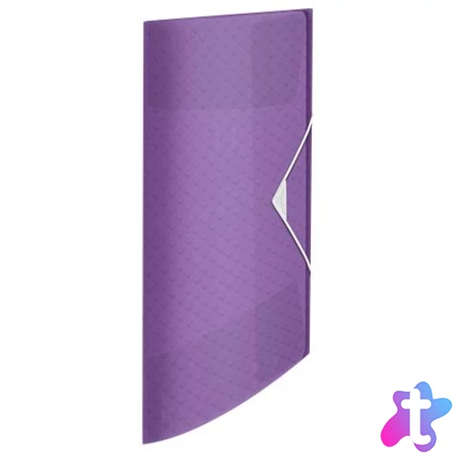 Gumis mappa, 15 mm, PP, A4, ESSELTE "Colour`Breeze", levendula