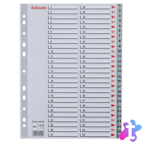 Regiszter, műanyag, A4, 1-54, ESSELTE, szürke