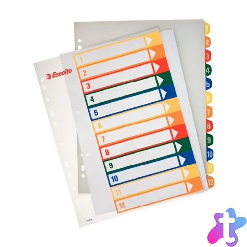 Regiszter, műanyag, A4 Maxi, 1-12, nyomtatható, ESSELTE, áttetsző