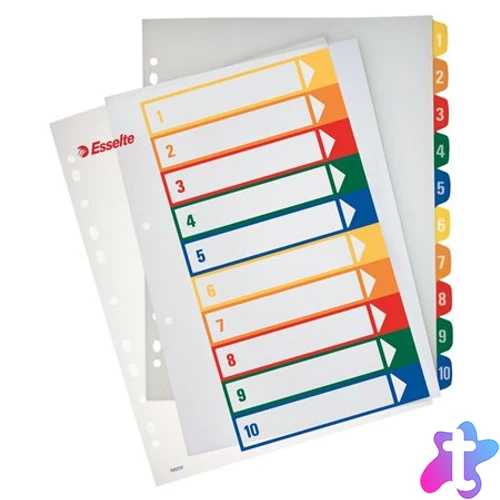 Regiszter, műanyag, A4 Maxi, 1-10, nyomtatható, ESSELTE, áttetsző