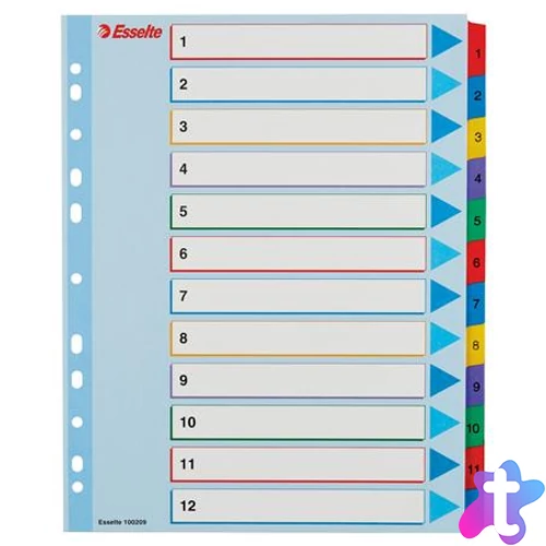 Regiszter, laminált karton, A4 Maxi, 1-12, újraírható, ESSELTE