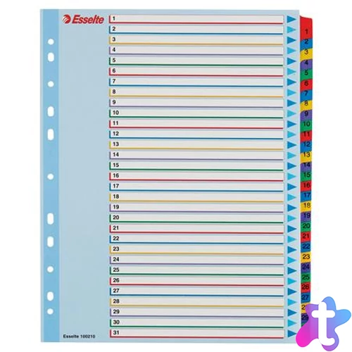 Regiszter, laminált karton, A4 Maxi, 1-31, újraírható, ESSELTE