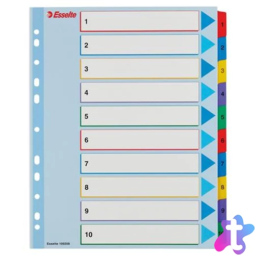 Regiszter, laminált karton, A4 Maxi, 1-10, újraírható, ESSELTE
