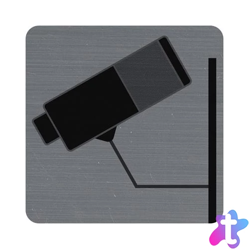 Információs tábla, öntapadó, 7,5x7,5 cm, alumíniumhatású, EXACOMPTA, "Kamerával megfigyelt terület"